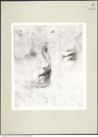 Vorderseite von bh265099_recto