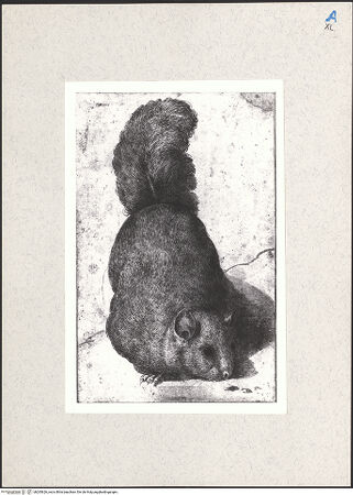 Vorderseite von bh265626_recto