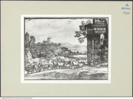 Vorderseite von bh265629_recto