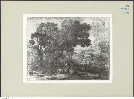 Vorderseite von bh265633_recto