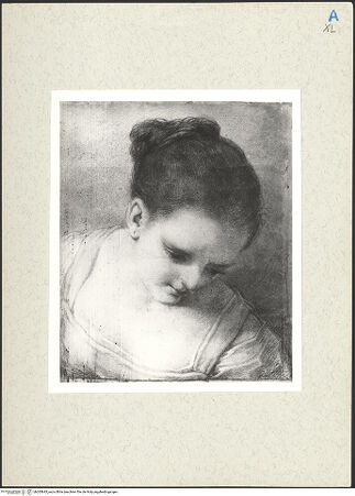 Vorderseite von bh265643_recto