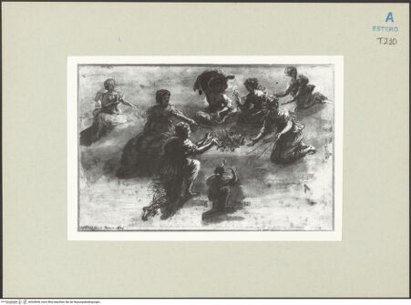 Vorderseite von bh265646_recto