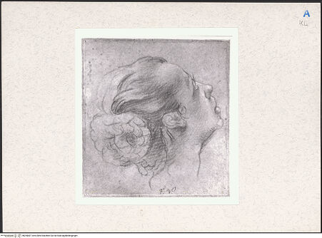 Vorderseite von bh265687_recto