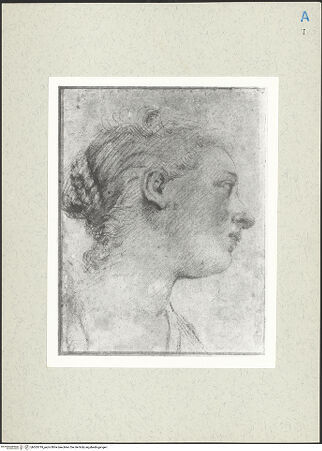 Vorderseite von bh265719_recto