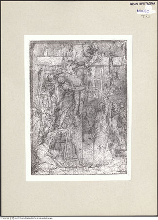 Vorderseite von bh265745_recto