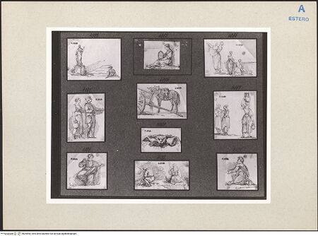 Vorderseite von bh265983_recto