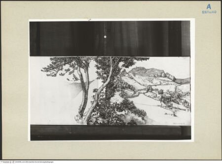 Vorderseite von bh265996_recto