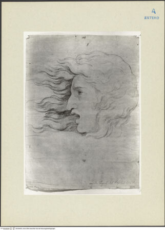 Vorderseite von bh266003_recto