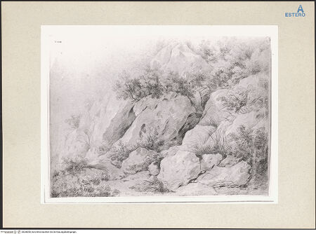 Vorderseite von bh266008_recto