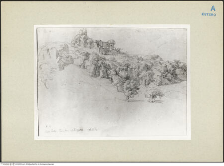 Vorderseite von bh266020_recto