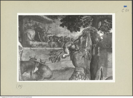 Vorderseite von bh266095_recto