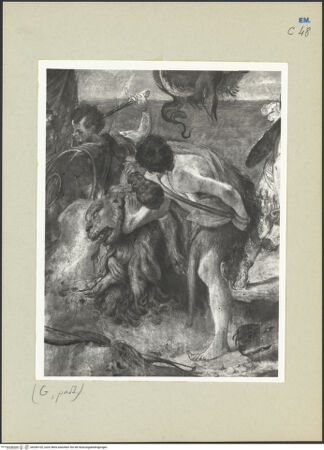 Vorderseite von bh266102_recto