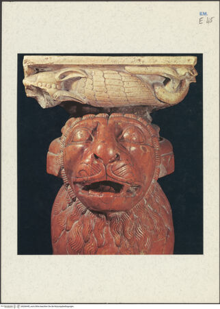 Vorderseite von bh266445_recto