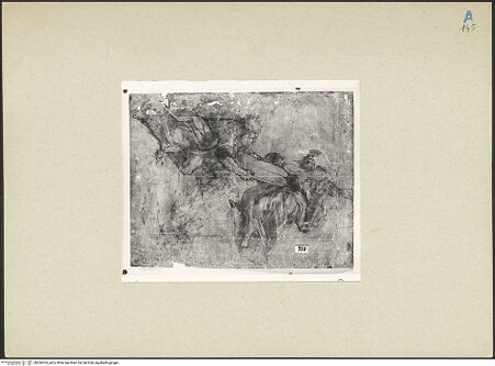 Vorderseite von bh266524_recto