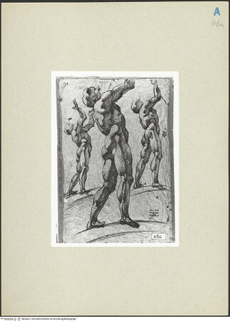 Vorderseite von bh266531_recto