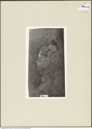 Vorderseite von bh266532_recto