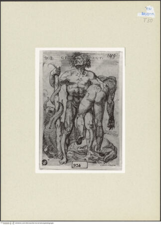 Vorderseite von bh266533_recto