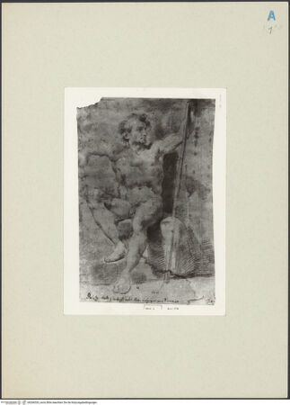 Vorderseite von bh266535_recto