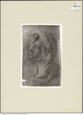 Vorderseite von bh266536_recto