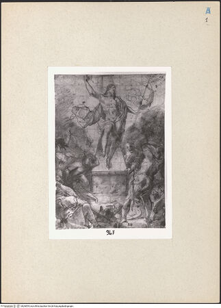 Vorderseite von bh266554_recto