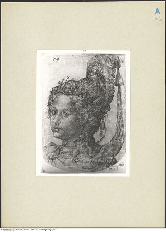 Vorderseite von bh266559_recto