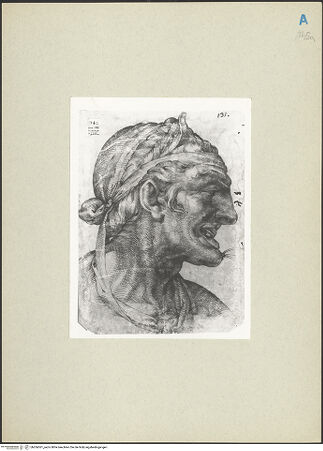 Vorderseite von bh266561_recto