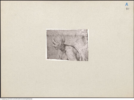 Vorderseite von bh266572_recto