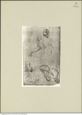 Vorderseite von bh266574_recto