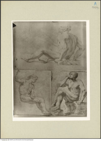 Vorderseite von bh266575_recto