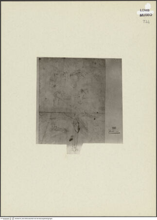 Vorderseite von bh266576_recto