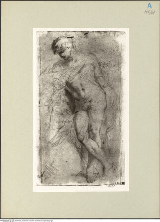 Vorderseite von bh266580_recto