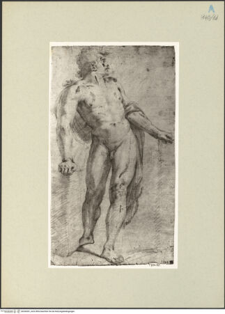 Vorderseite von bh266581_recto