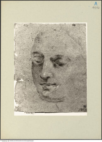 Vorderseite von bh266582_recto