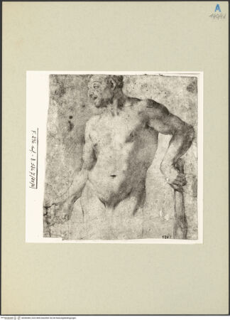 Vorderseite von bh266584_recto