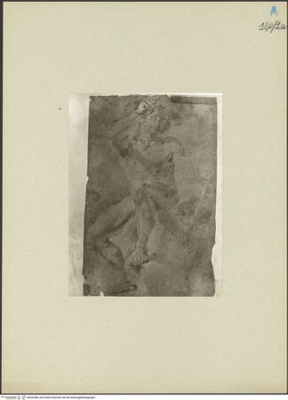 Vorderseite von bh266586_recto