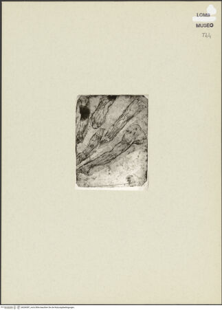 Vorderseite von bh266587_recto