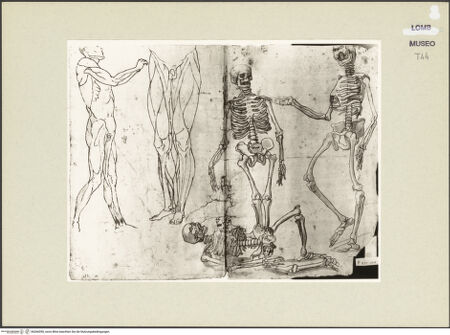 Vorderseite von bh266590_recto