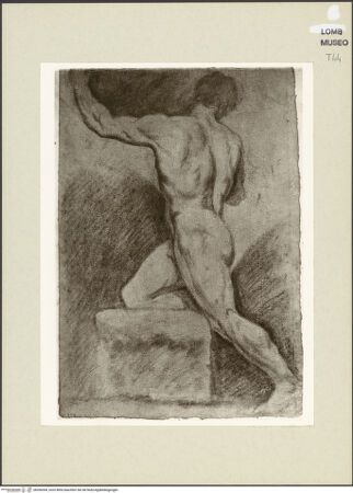 Vorderseite von bh266594_recto