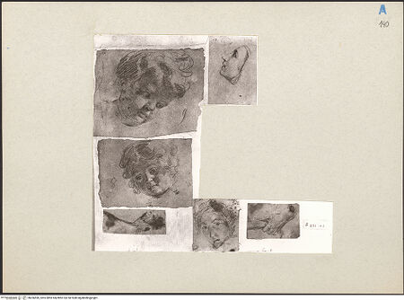 Vorderseite von bh266596_recto