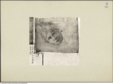 Vorderseite von bh266603_recto