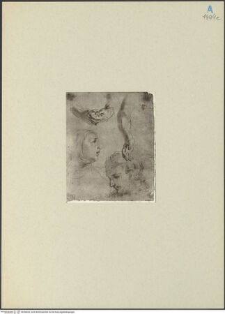 Vorderseite von bh266620_recto