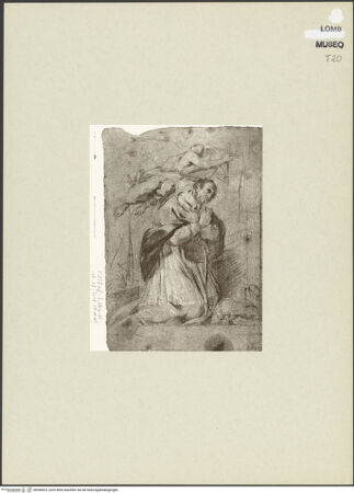 Vorderseite von bh266623_recto