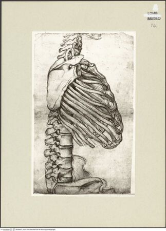 Vorderseite von bh266627_recto