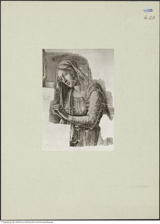 Vorderseite von bh266634_recto