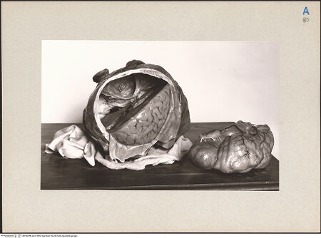 Vorderseite von bh266638_recto