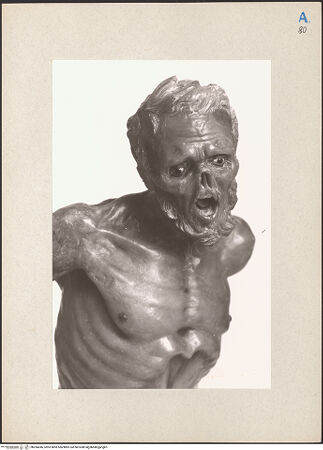 Vorderseite von bh266646_recto