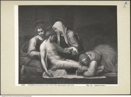 Vorderseite von bh266674_recto