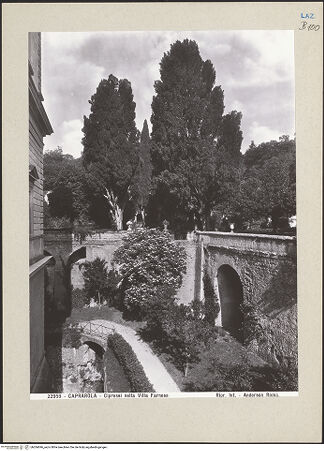 Vorderseite von bh266696_recto