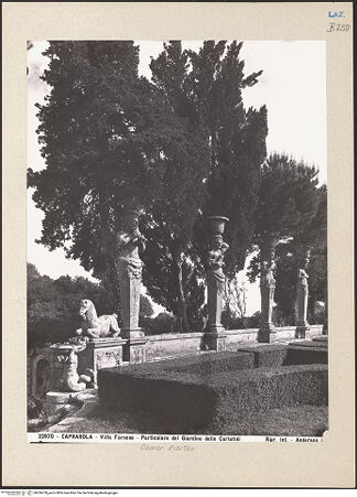 Vorderseite von bh266700_recto