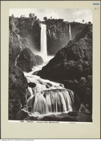 Vorderseite von bh266791_recto